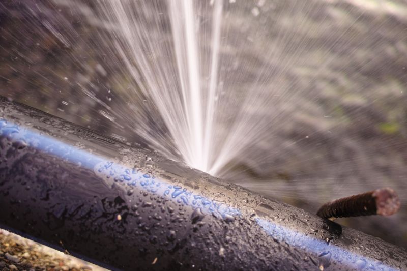 Pipe Leak Repair detail