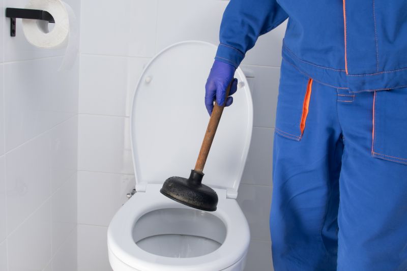 Toilet Plunging detail