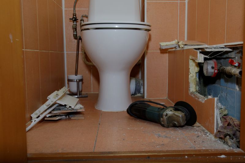 Toilet Repair detail