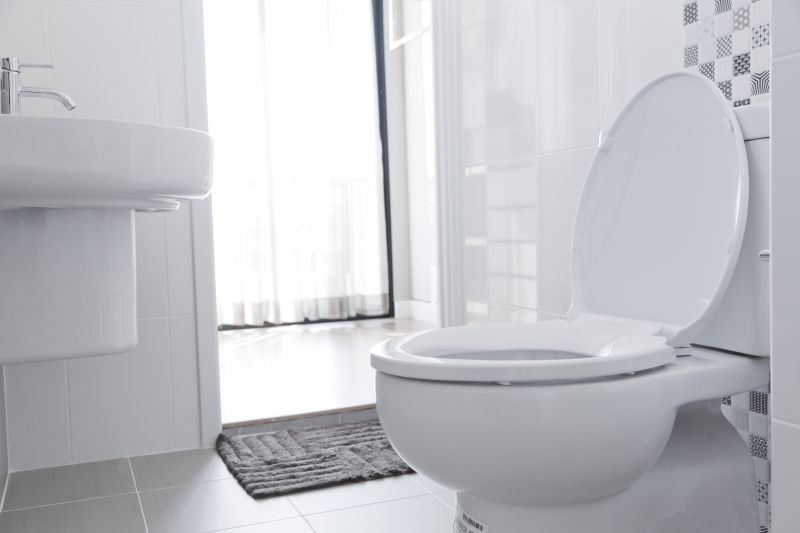 Toilet Replacement detail