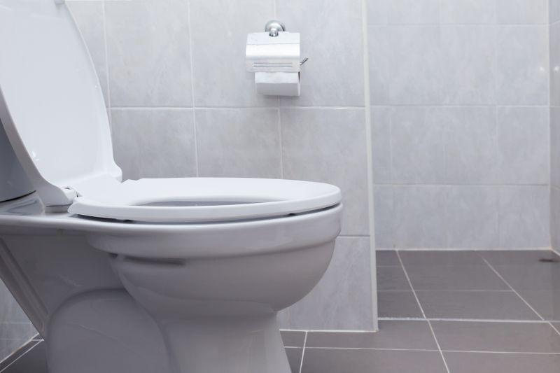 Toilet Replacement